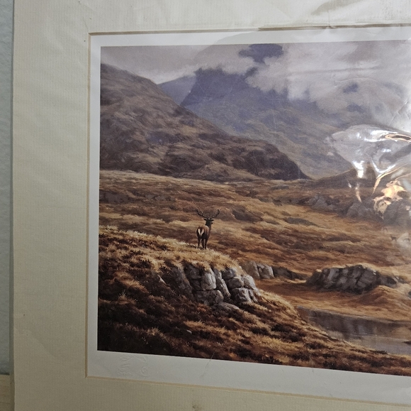 Julian Friers Wildlife Red Stag & Hinds  14"x12" Artwork Print - Picture 2 of 10
